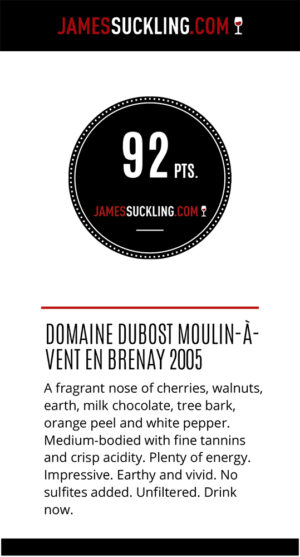 domaine_dubost_moulin-a-vent_en_brenay_2005 domaine_dubost_moulin-a-vent_en_brenay_2005